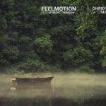 Feelmotion 2.0: опыт FIOFA